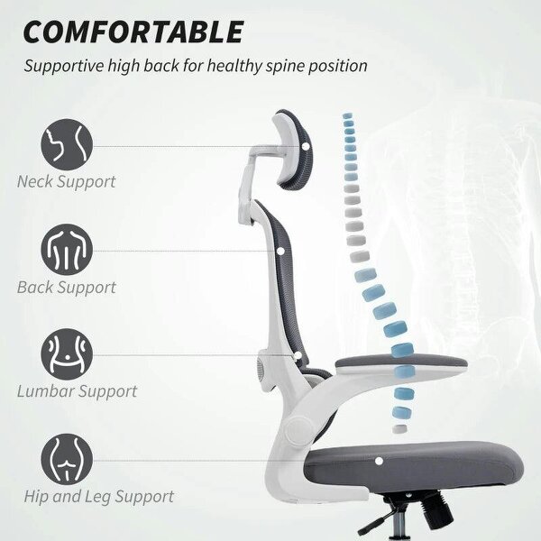 Mesh Back Office Chair, with Lumbar Support - Charcoal Grey
