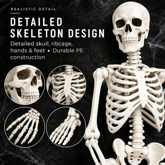 Neo Direct Neo White Prop Life Size Halloween Skeleton 160 cm