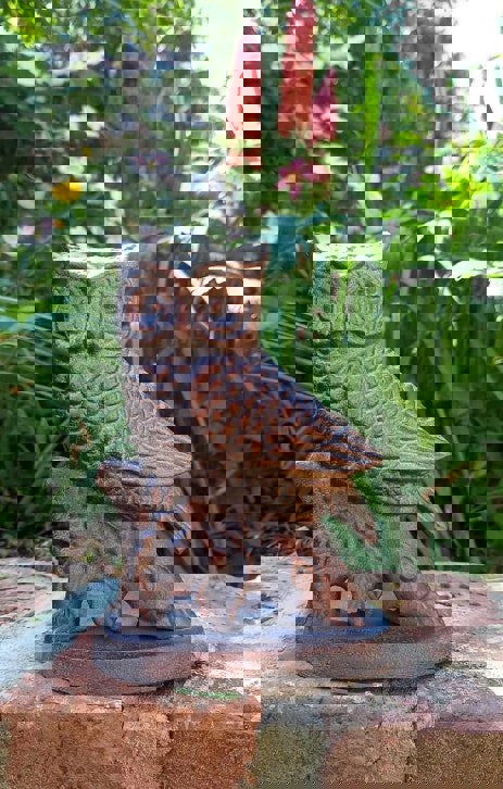 Inspirational Gifting Small Owl on Oak Branch Ornament Sculpture