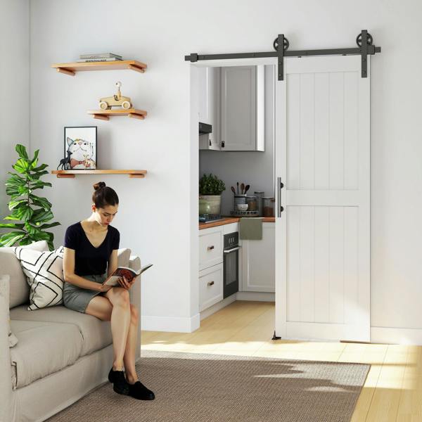 Sliding Door