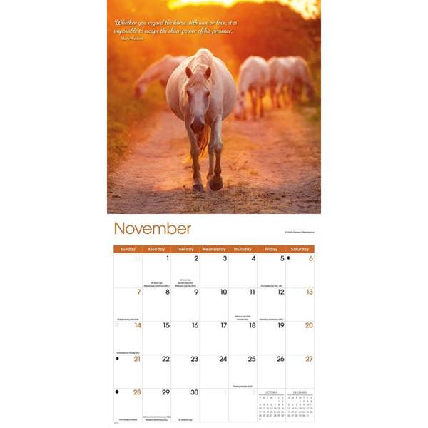 Horse Lovers Calendar 2027, Wall Calendars, Month To View, Animals, Gift
