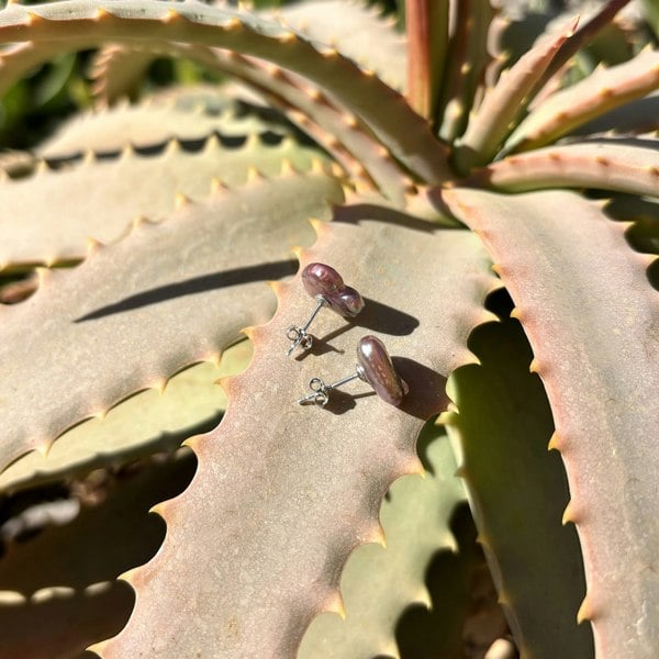 Pink Keshi pearl stud earrings on an aloe vera plant.