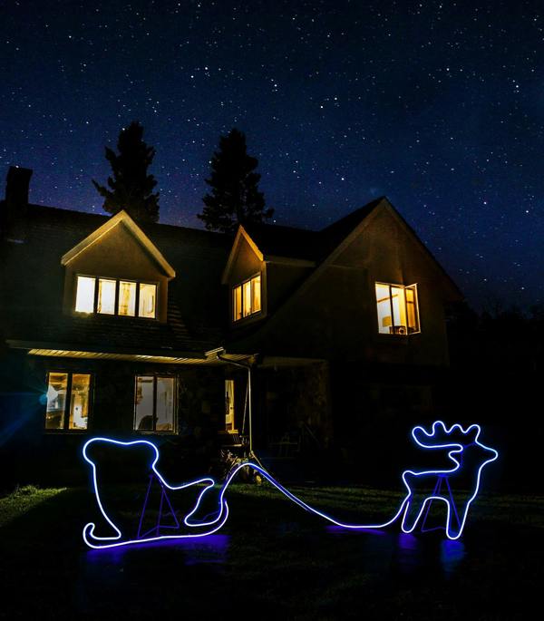 90 Blue LED Reindeer with Sleigh Neon Effect Rope Light Silhouette, Double-Sided Christmas Decoration image 6