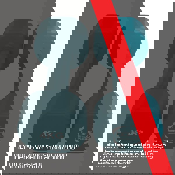 Body Revolution 2 x 4KG Neoprene dumbbells