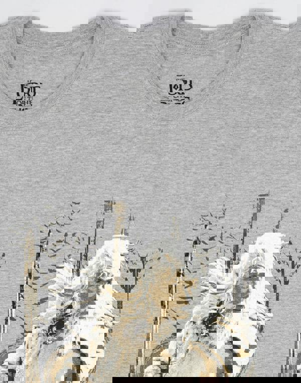 Lord Of The Rings Mens Grey Gandalf Short Sleeved T-Shirt