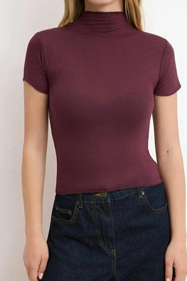 WOVCOR Fitted High Neck Short Sleeve Transparent Knitted Blouse