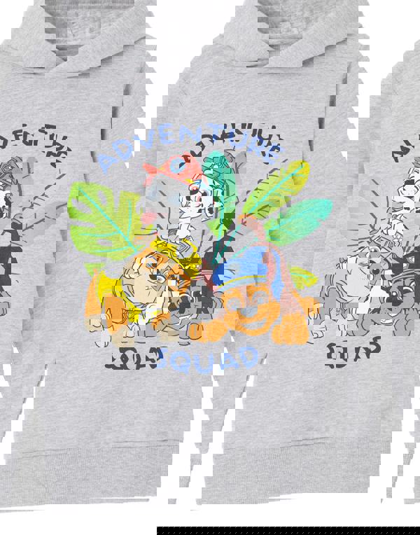 Paw Patrol Boys Grey Advernture Squad Hoodie