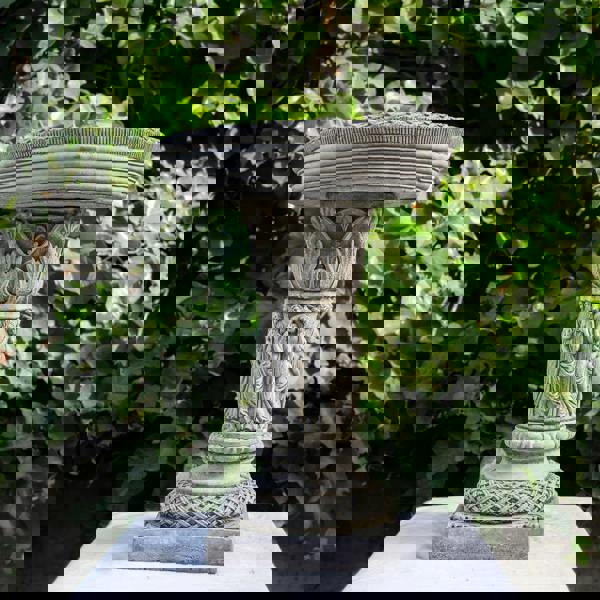 Patrician Bird Bath Elegant Stone cast Bird Bath Bird feeder