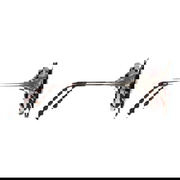 INVU Sunglasses B2117 B Demi Gold Brown Tortoise Brown Polarized