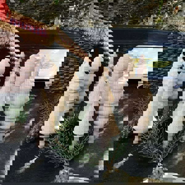 tickit Woodland Trees