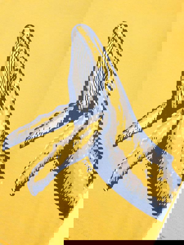 Kite Boys Organic Humpback T-Shirt