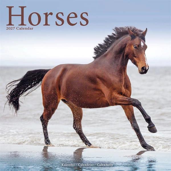 Horses Calendar 2027, Wall Calendars, Month To View, Animals, Gift