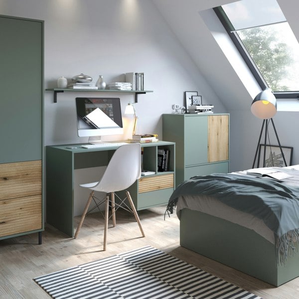 Furniture To Go Darwin Sideboard 2 Door 2 Drawer in Green/Oak