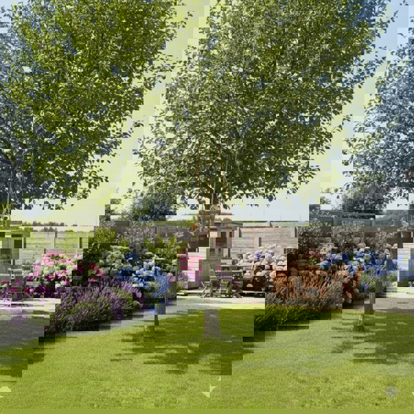 smartbies Swing Seat Bird Feeder for Small Birds – Washable & Hygienic