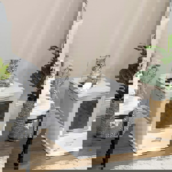 D31-061V00GY