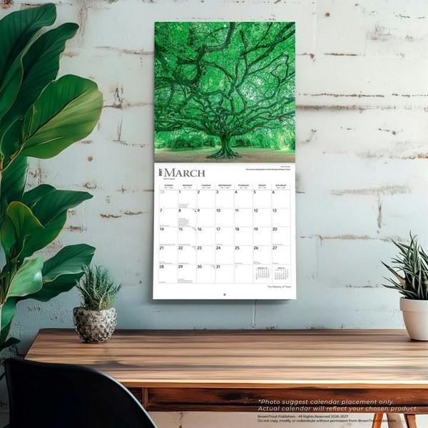 The Majesty of Trees Calendar 2027, Wall Calendars, Month To View, Natural World, Gift