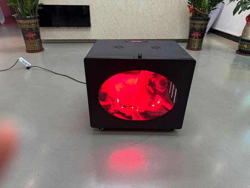 Lumawell PT-LC100 Red Light Therapy Pet Bed
