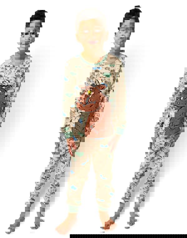 Gruffalo & Friends Unisex Kids Multicoloured Front Print Long Sleeve Long Leg Pyjama Set