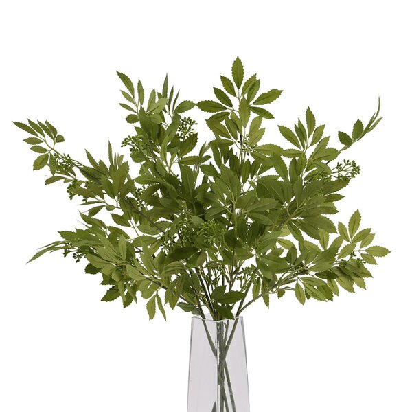Wyld Haus Set of 3 Artificial Flowers Long Fennel Stems