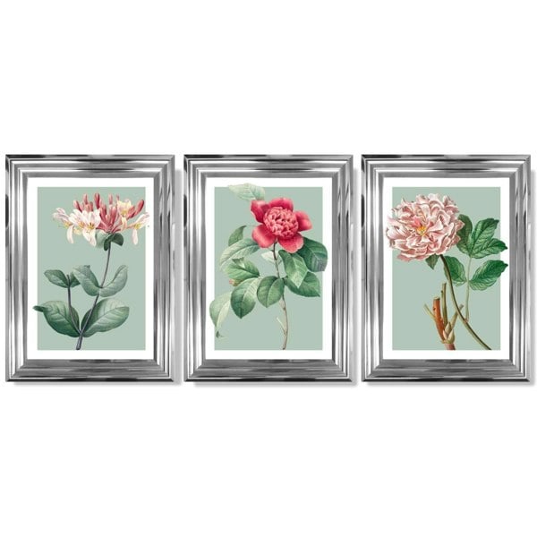 Artze Wall Art Vintage Flowers Honeysuckle, Peony Set of 3 Framed Prints