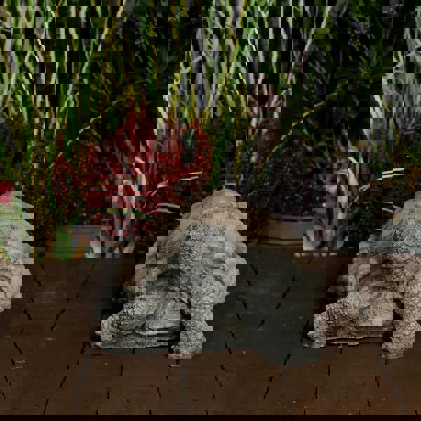 Medium Stone Cast Tortoise Garden Ornament 