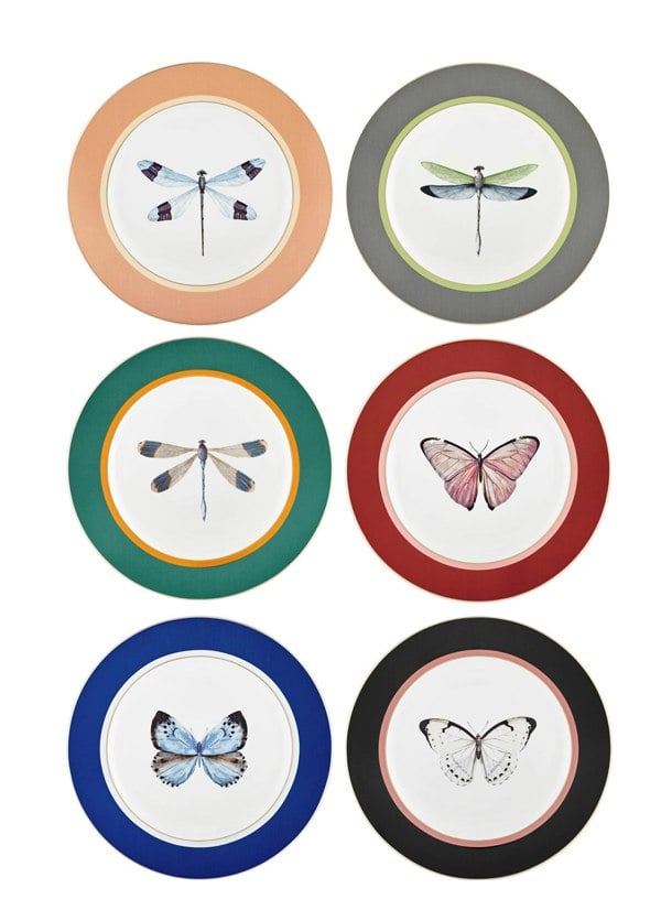 Rozi Blossom Collection Porcelain Dinner Plates (Set of 6)