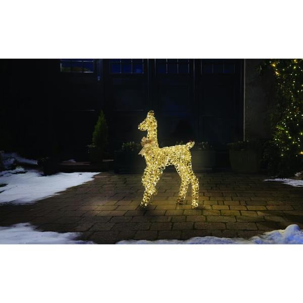 Titan Gold Doe 90cm LV