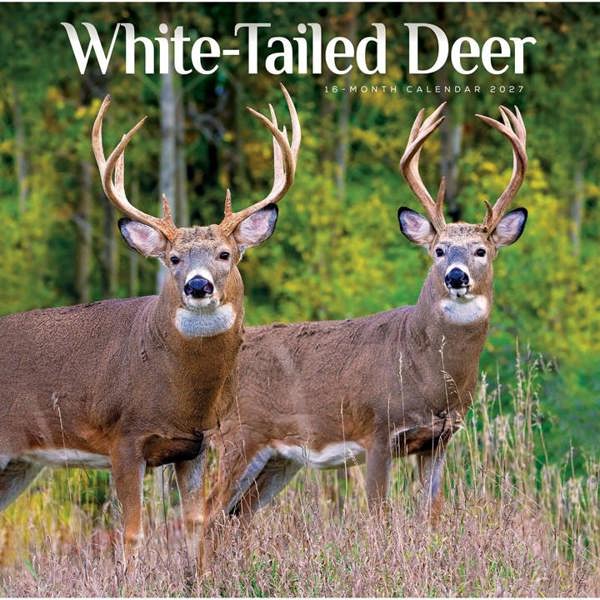 White-Tailed Deer Calendar 2027, Wall Calendars, Month To View, Animals, Gift