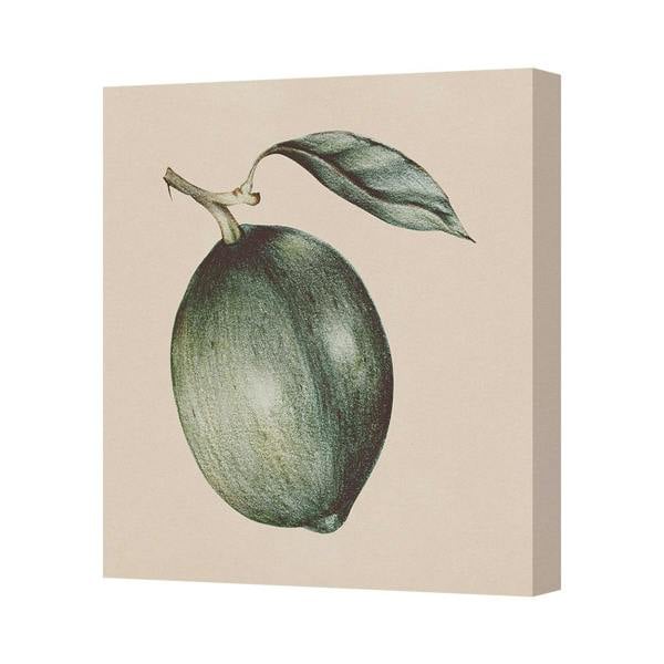 Benjamin Tate Design Green Mango Canvas Wall Art Print With Leaf For Contemporary Home Decor