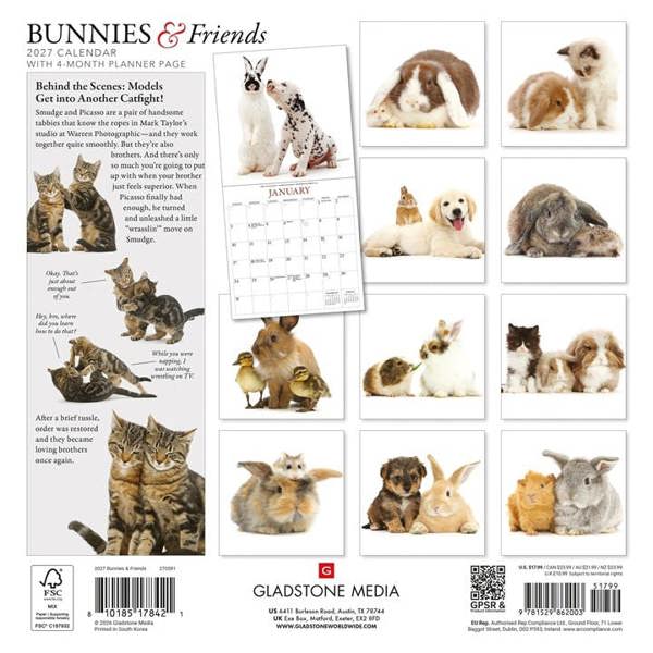 Unbranded Bunnies & Friends Calendar 2027, Wall Calendars, Month To View, Animals, Gift