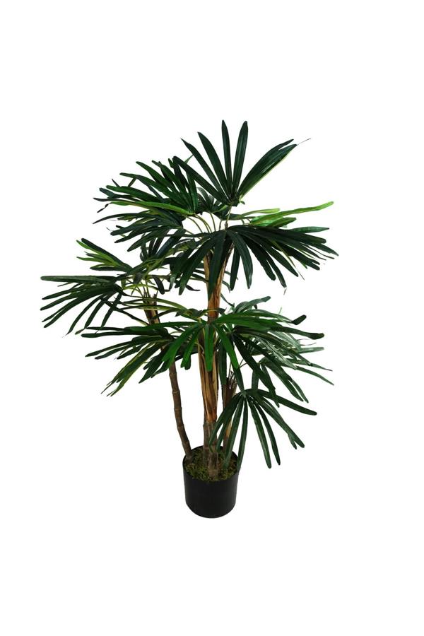 Dyzi 100cm Artificial Raphis Palm Tree