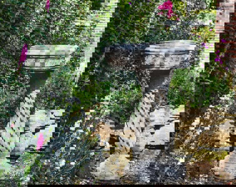 Detailed Windsor Design Stone Birdbath