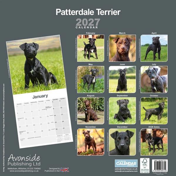 Patterdale Terrier Calendar 2027, Wall Calendars, Month To View, Dogs, Gift