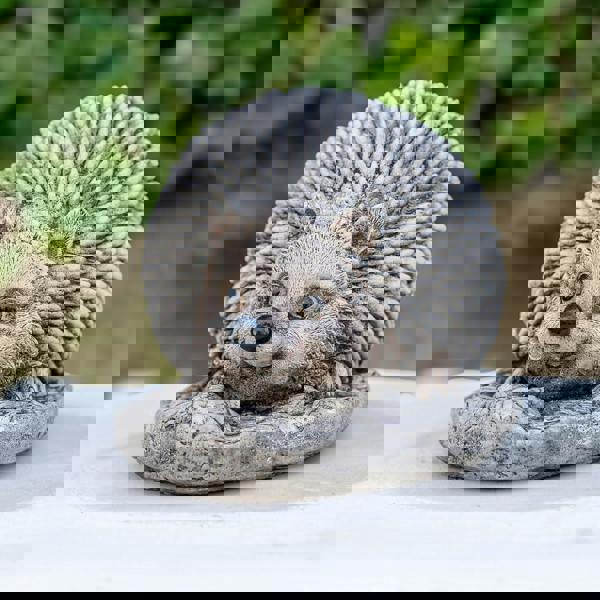 Adorable Spike Hedgehog garden ornament