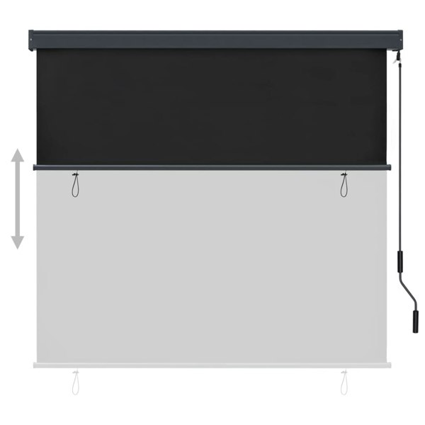 Berkfield Outdoor Roller Blind 160x250 cm Anthracite
