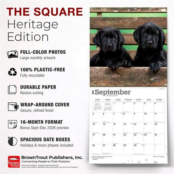 Black Lab Puppies Calendar 2027, Wall Calendars, Month To View, Dogs, Gift