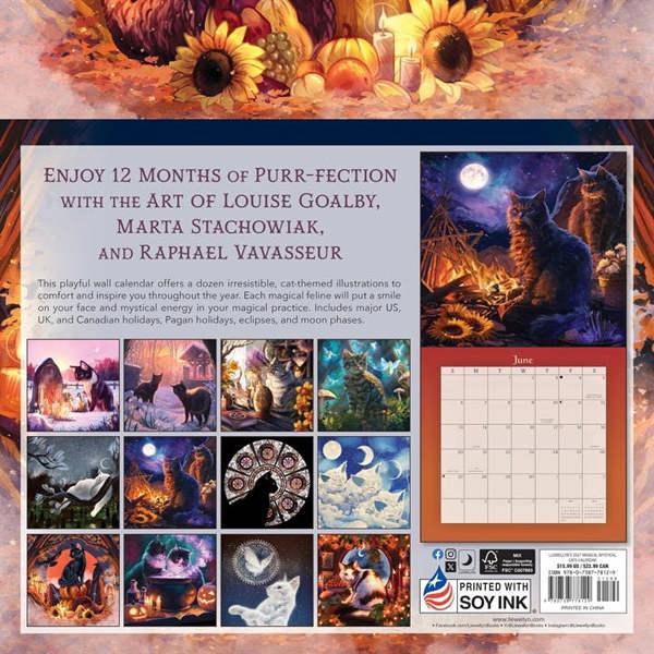 Witchcraft Llewellyn's Magical Mystical Cats Calendar 2027, Wall Calendars, Month To View, Cats, Gift