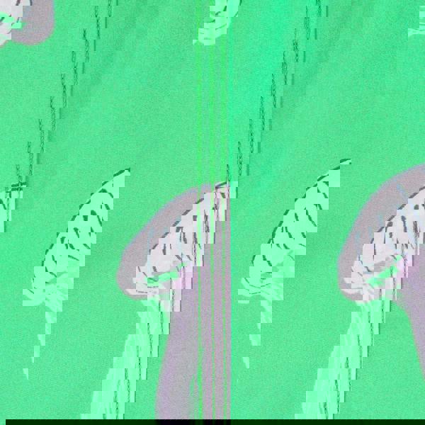 Randy Cow Matching Father & Son Jellyfish Swim Shorts with Waterproof Pocket