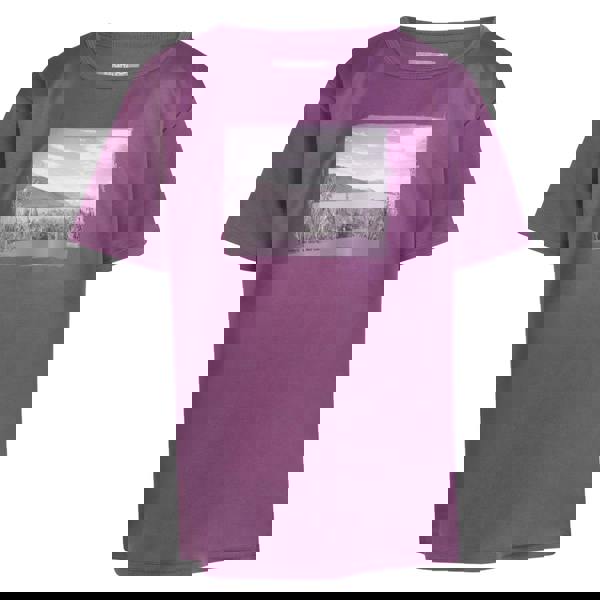 Regatta Childrens/Kids Alvardo VIII Photograph T-Shirt - Sunset Purple