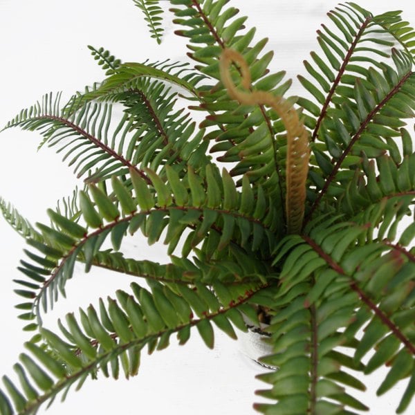 Leaf 40cm Artificial Fern Bush in Decorative Planter