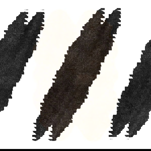 New Zealand Sheepskin | Short Curly Wool | Rug 180x110 cm Cappuccino