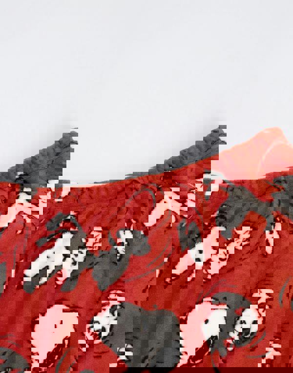 Peanuts Womens Red Snoopy Long Sleeve Long Leg Pyjama Set