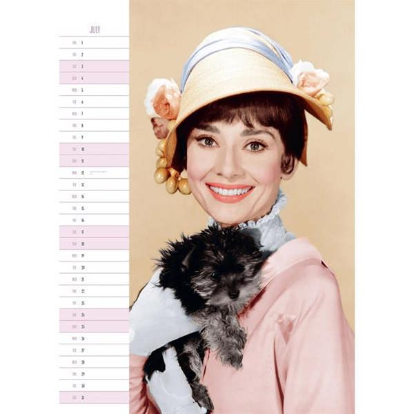 Audrey Hepburn A3 Calendar 2027, Wall Calendars, Month To View, Entertainment, Gift