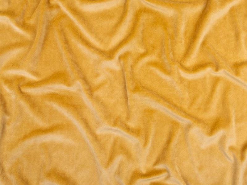 Warm Ochre