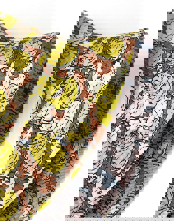 Shrek Mens Multicoloured Reversible Donkey and Shrek Bucket Hat (One Size)