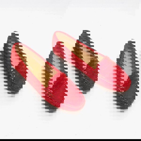 1581956593-40744300.jpg