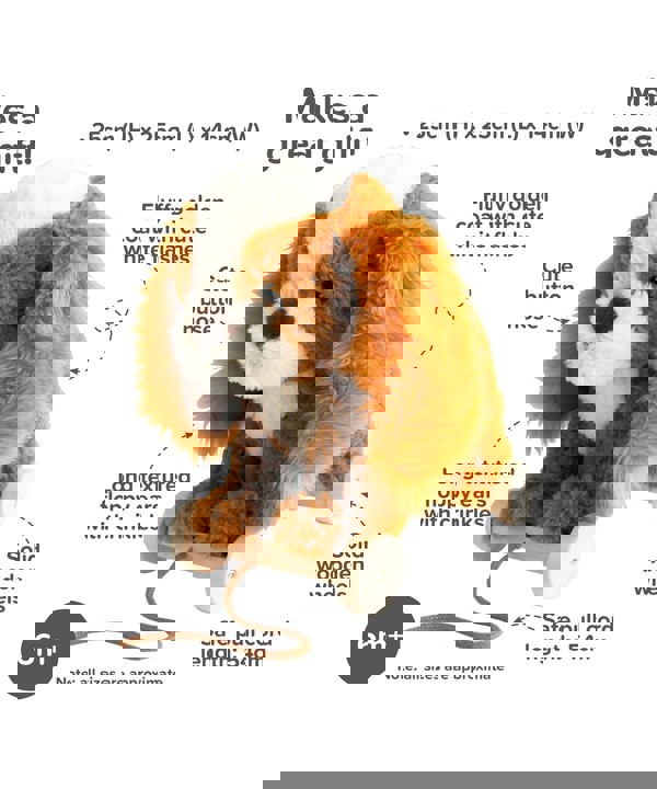 Little Bird Told Me Peanut Pup Pull Along Toy