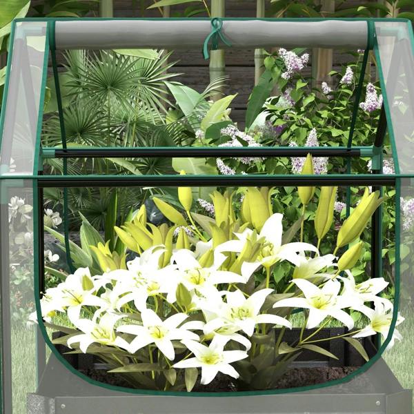 Grey planter bed greenhouse cover with leafy plants and dark base slats