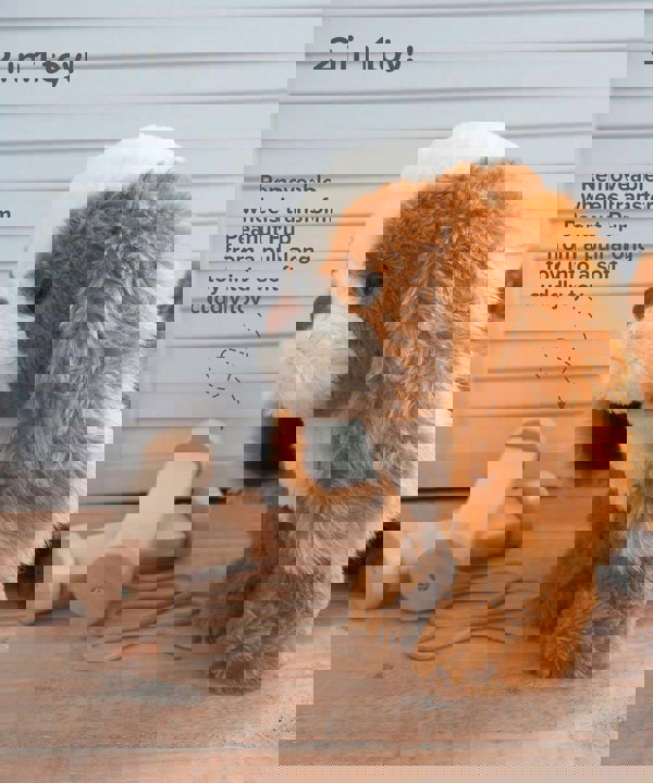 Infographic image of Peanut Pup Pull Along Toy showing removeable wheels