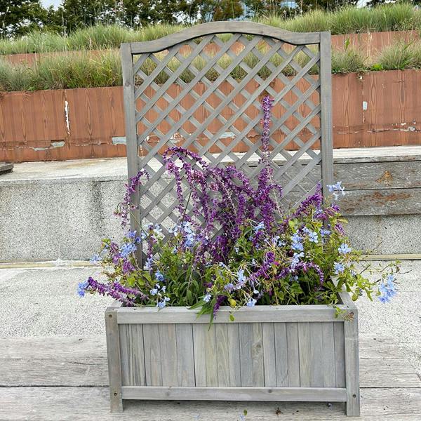 Gr8 Garden Grey Wooden Planter Lattice For Vines Garden Climbing Flower Plant Pot Trellis